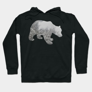 Polar Hoodie